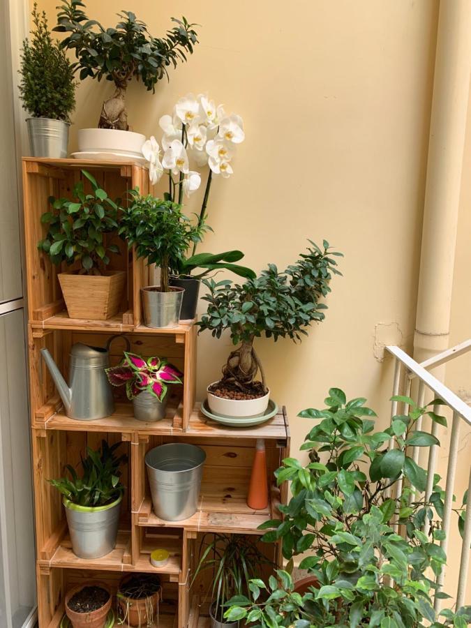 Raroom Boutique Home توري دل غريكو المظهر الخارجي الصورة